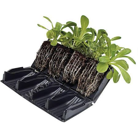 COMPACT RAPID ROOTRAINER™
