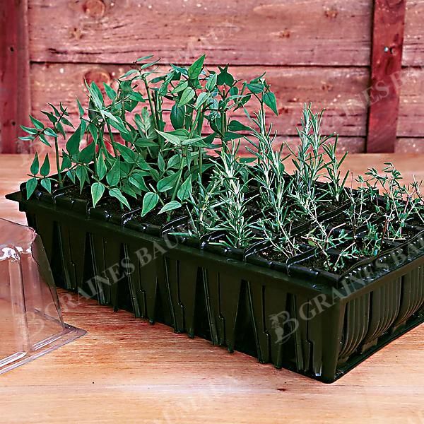 COMPACT RAPID ROOTRAINER™