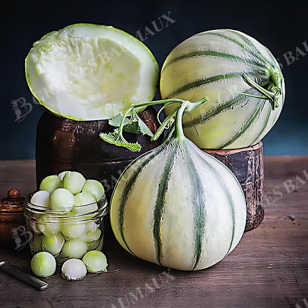 MELON HARU MADHU