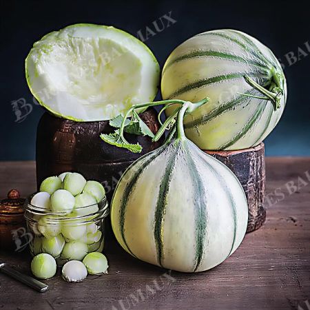 MELON HARU MADHU