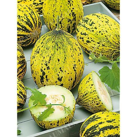 MELON KONFETKA