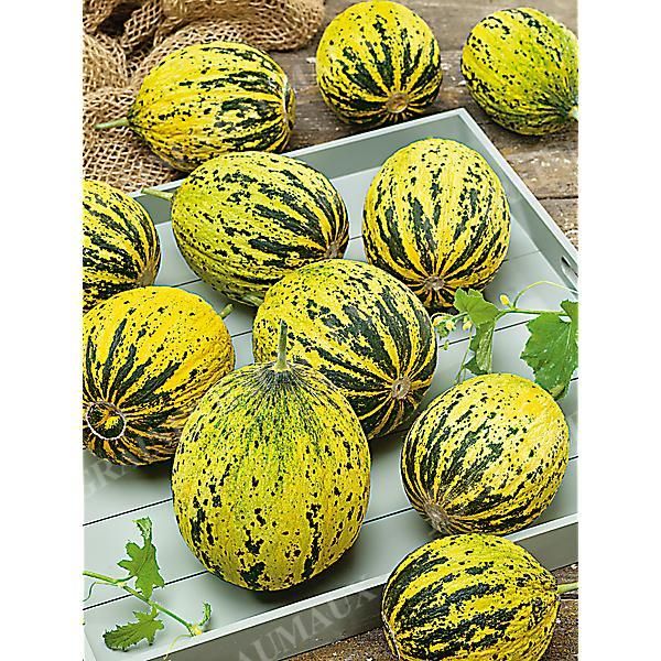 MELON KONFETKA