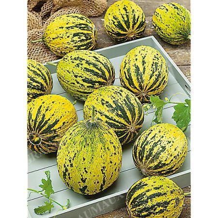 MELON KONFETKA
