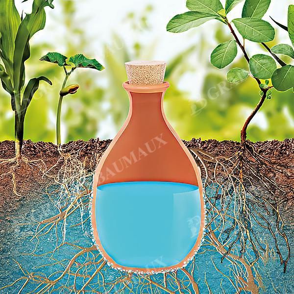 OLLA POT d’IRRIGATION en terre cuite 3,7 litres