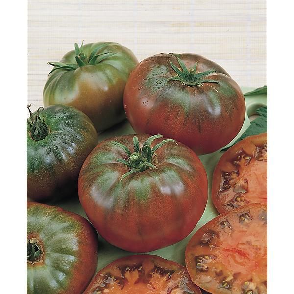 TOMATE NOIRE RUSSE