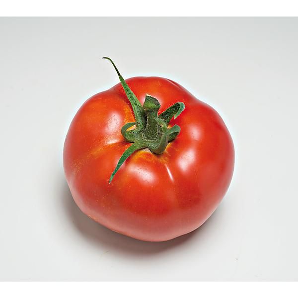 Comment obtenir des tomates extra sucrées dans son potager?
