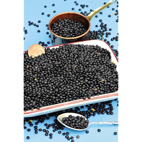 LENTILLE noire BELLUGA ou lentille caviar