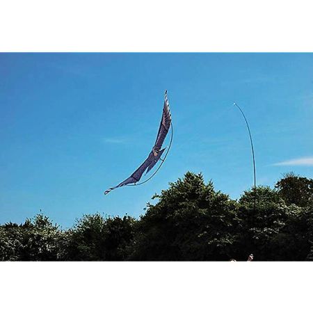 Cerf-volant En Forme D'épervier Grandeur Nature - Graines Baumaux