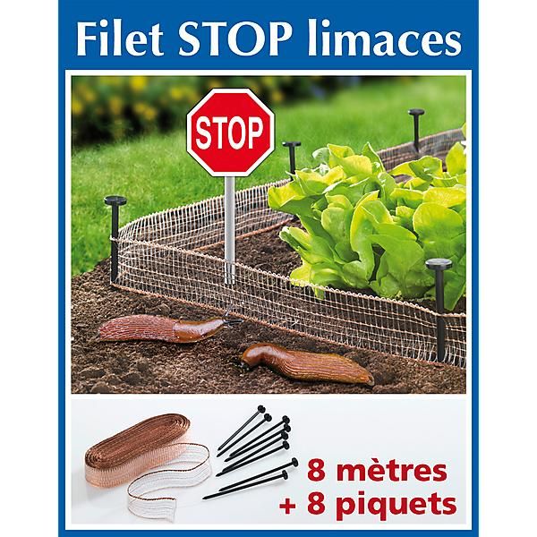 STOP-LIMACES