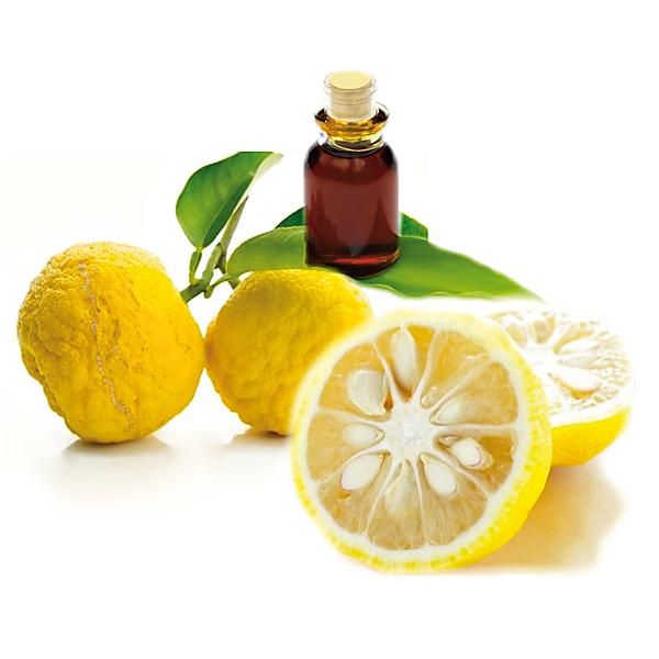 YUZU citron du Japon (citrus x junos)