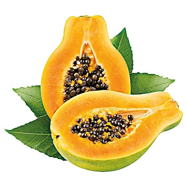 PAPAYER (carica papaya) F1 KOMOA