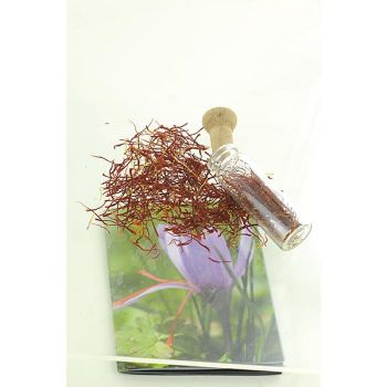 CROCUS SATIVUS ou SAFRAN