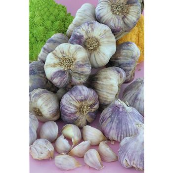 AIL certifié GERMIDOUR Bio