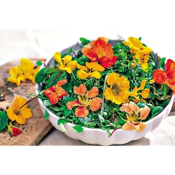 CAPUCINE naine TOM POUCE Bio 2