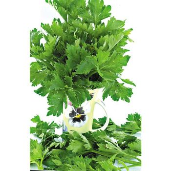 PERSIL COMMUN 2 ou SIMPLE