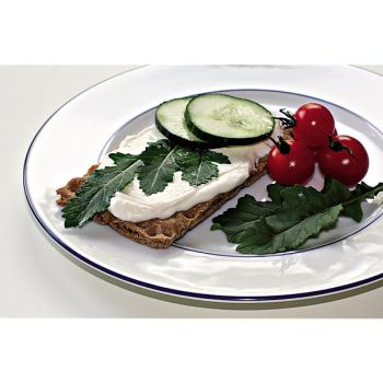 ROQUETTE sauvage WASABI 2