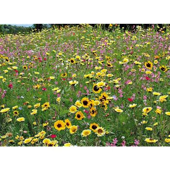 MÉLANGE ÉCONOMIE D'EAU