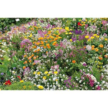 MÉLANGE ANTI-LIMACES et ANTI-ESCARGOTS