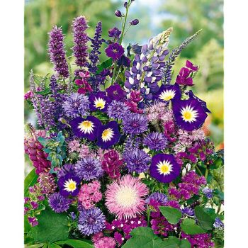 BOUQUET de COULEUR BLEU