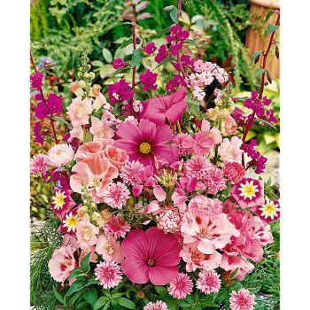 BOUQUET de COULEUR ROSE