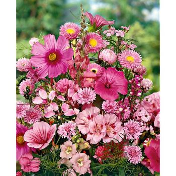 BOUQUET de COULEUR ROSE 2