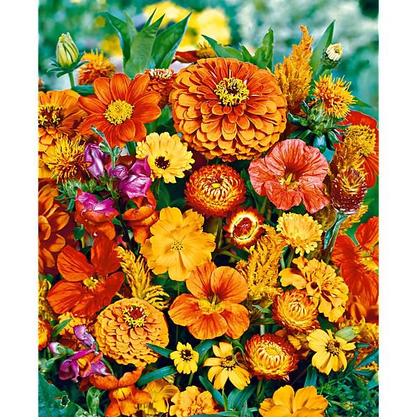 BOUQUET de COULEUR ORANGE