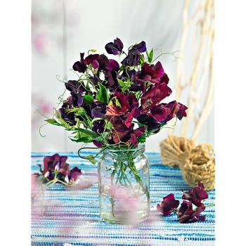 POIS de SENTEUR OLD SPICE BLACK KNIGHT