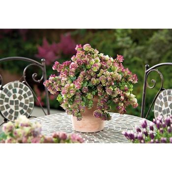 MARJOLAINE KIRIGAMI 2