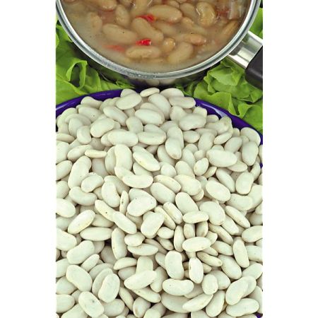 GRAINES de LÉGUMES FRUITS DIVERS