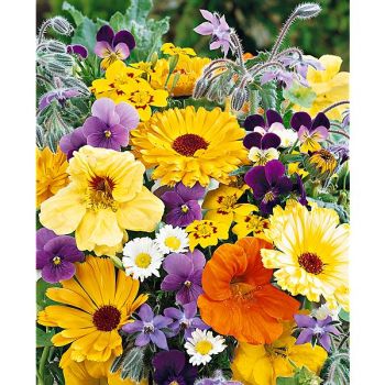 MÉLANGE de FLEURS COMESTIBLES Bio