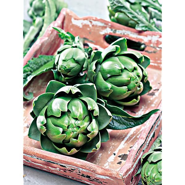 ARTICHAUT VERT de PROVENCE