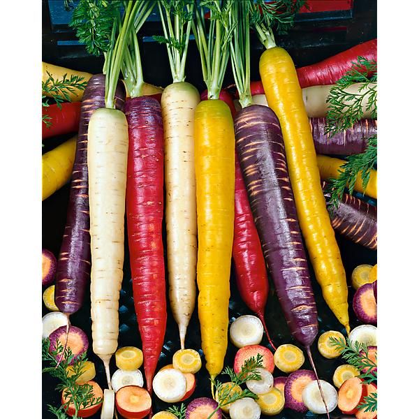 CAROTTES F1 KAROMIX