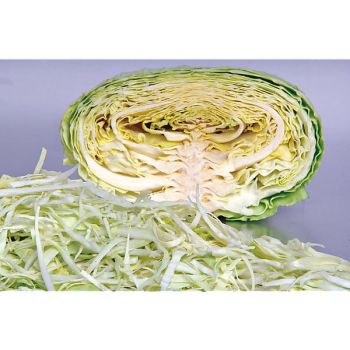 CHOU cabus F1 SWEETY 2