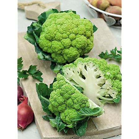 CHOU-FLEUR F1 SUSANA