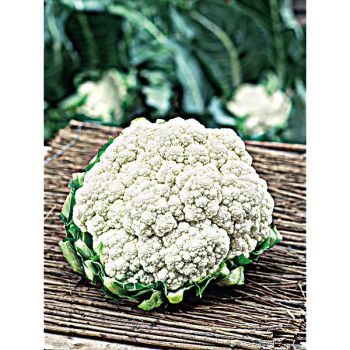 CHOU-FLEUR NAPOLETANO GENNARESE Bio