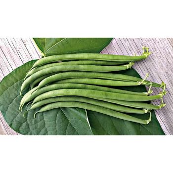 HARICOT ramant PYTHON