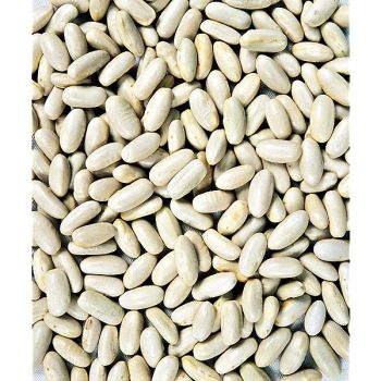 HARICOT ramant PERFECTION BLANC ou blanc de juillet ou... 2