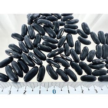 HARICOT nain mangetout CHEROKEE WAX 2