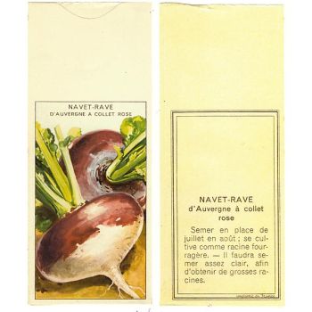 NAVET RAVE d'AUVERGNE HÂTIVE 2