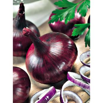 OIGNON ROUGE de GENÈVE