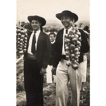 OIGNON KERAVEL type ROSÉ de ROSCOFF 2