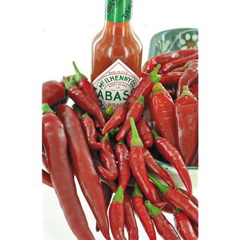 PIMENT TABASCO (c. frutescens)