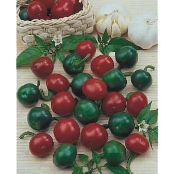 PIMENT RED CHERRY SMALL (ciliegia piccante)