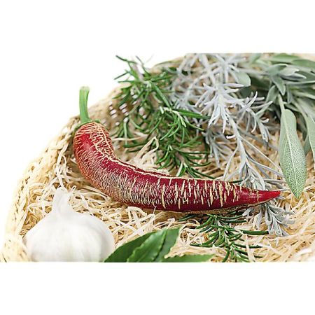 PIMENT ELEFANT (c. annuum)