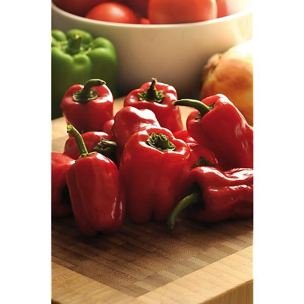 POIVRON CAJUN BELLE