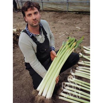 POIREAU STAROZAGORSKI KAMUSH