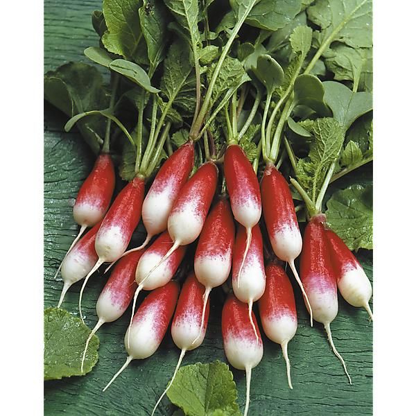 RADIS PERNOT CLAIR