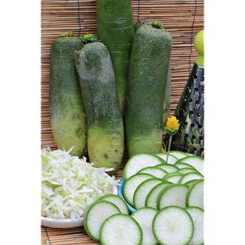 RADIS F1 GREEN MEAT 2