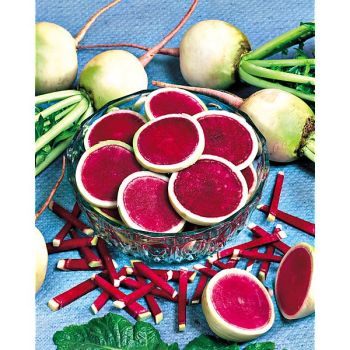 RADIS MISATO ROSE FLESH