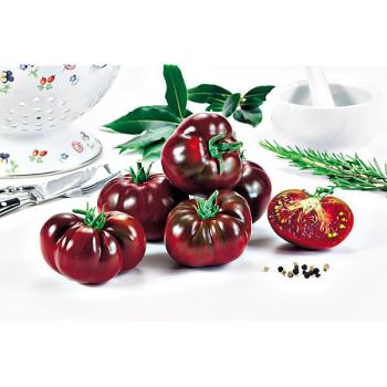 TOMATE NOIRE RUSSE 2